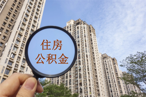 和县上海代取公积金正规平台（和县上海代办公积金提取怎么收费）